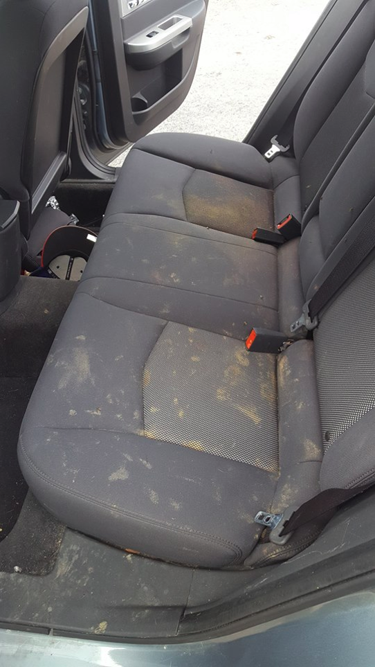 DoggyInterior DoggyInterior