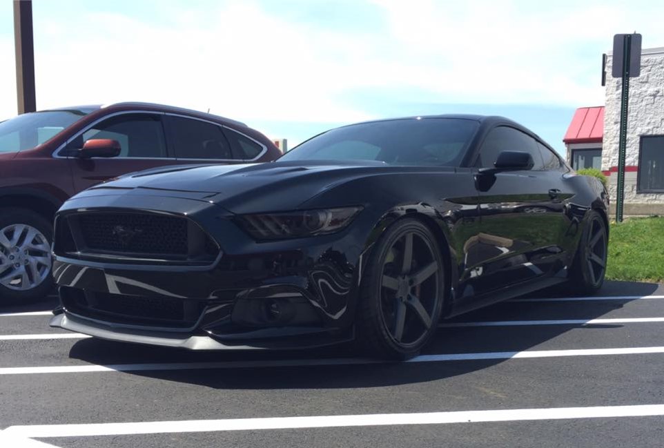 mustang mustang